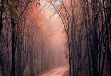 爱游戏：[天下足球]内森-特拉双响 勒沃库森击败达姆施塔特.