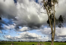 爱游戏：[天下足球]内森-特拉双响 勒沃库森击败达姆施塔特.