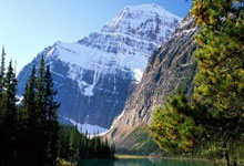 12点43分!辽宁VS山东最新动态,杨鸣赛前证实1个好消息1个坏消息.