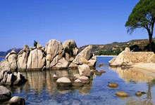 61胜创队史新纪录!亚历山大:我们的终极目标是举起总冠军奖杯.